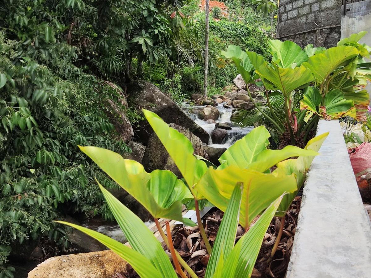Riverside Mount Simpson - Seychelles Island Beau Vallon  Luaran gambar