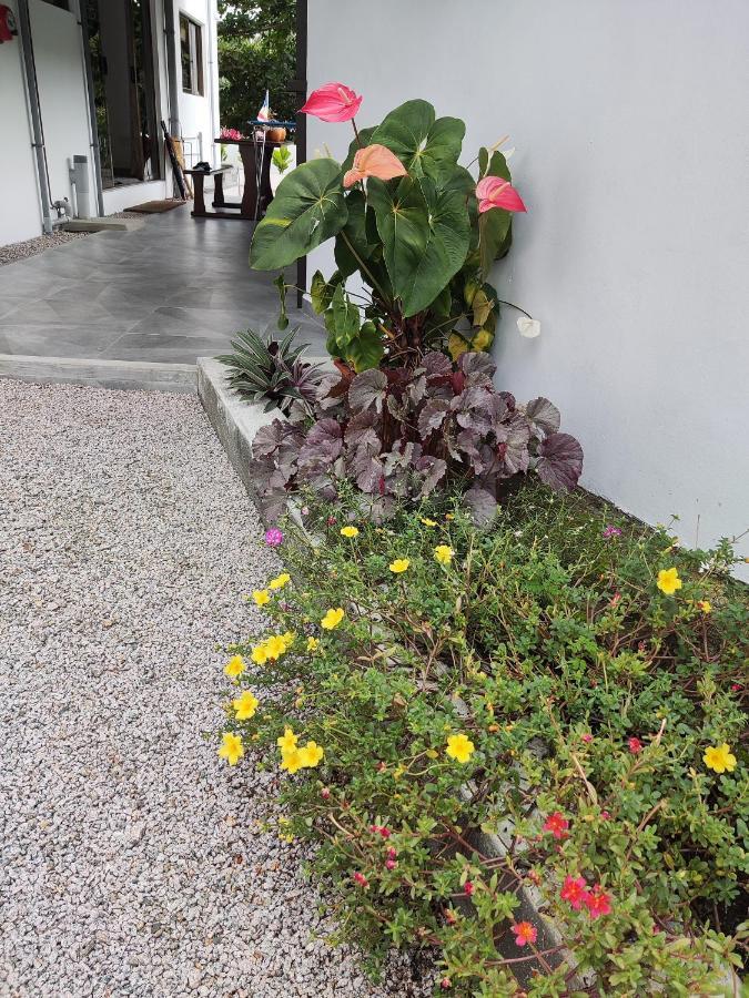 Riverside Mount Simpson - Seychelles Island Beau Vallon  Luaran gambar
