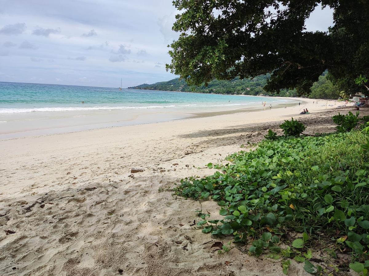 Riverside Mount Simpson - Seychelles Island Beau Vallon  Luaran gambar
